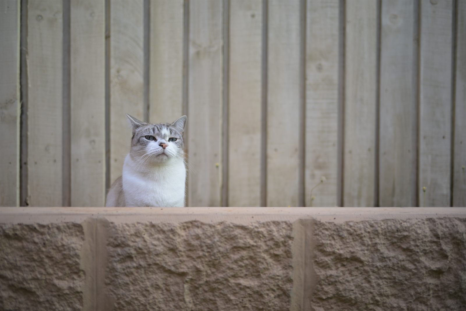 Photograph by Robert McKinnon
